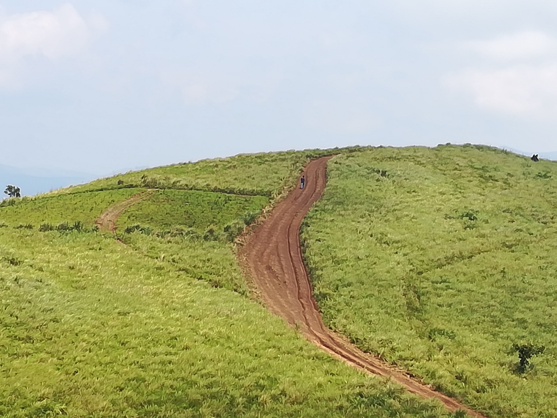 Grass meadows and hills at Vagamon